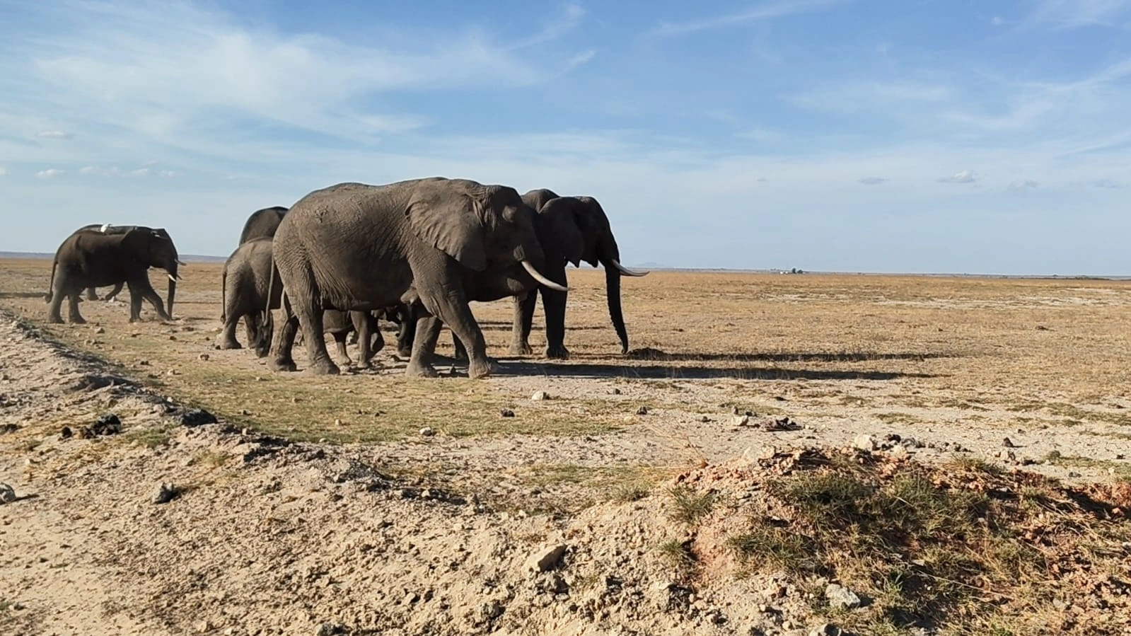 3 Day Amboseli National Park Safari