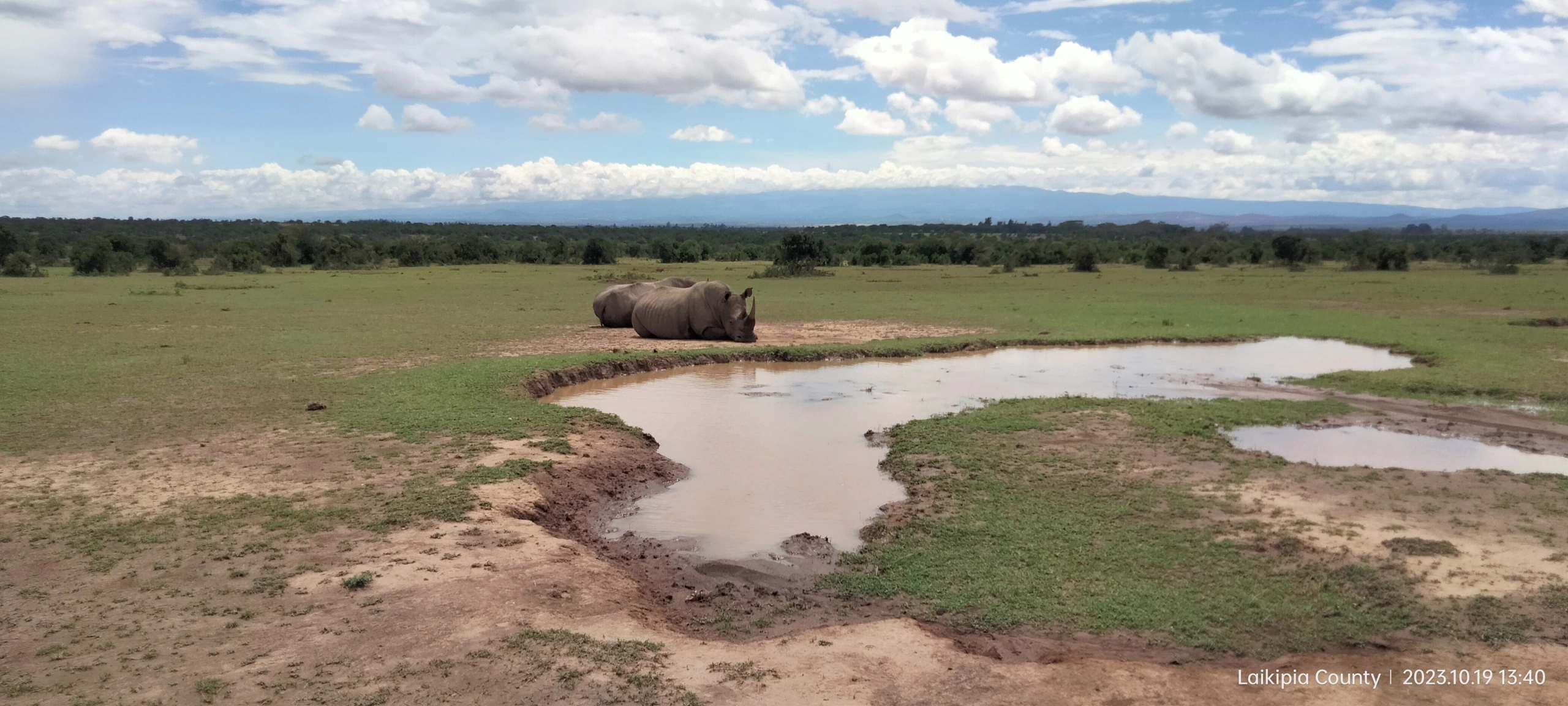 Wildlife sighting at the olpejeta conservancy IMG20231019134049