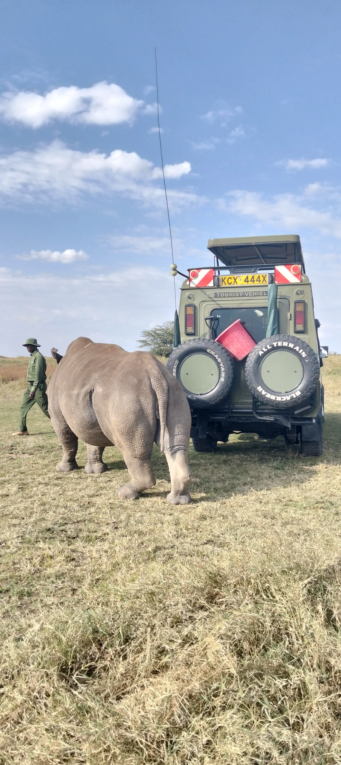 Wildlife sighting at the olpejeta conservancy IMG20250131163309