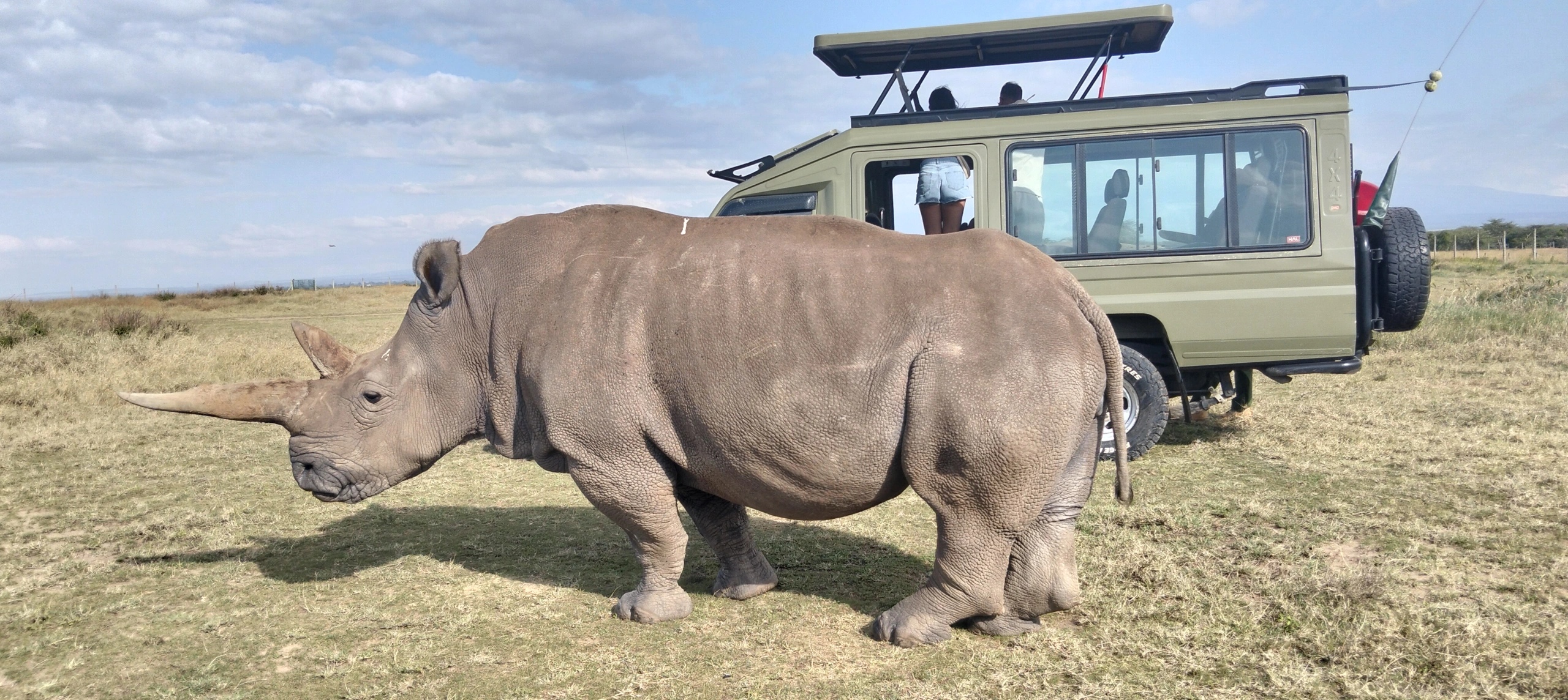 Ol Pejeta Conservancy