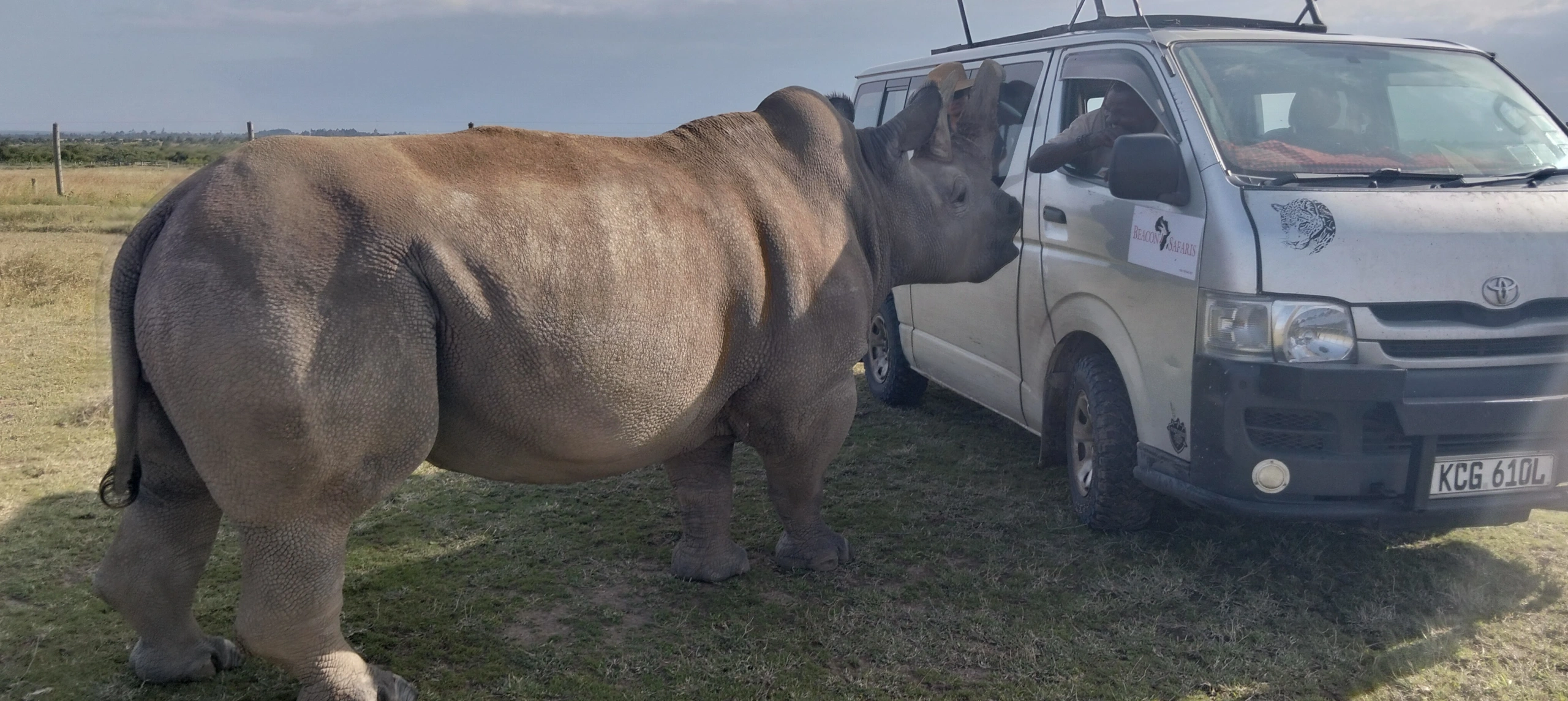 3 Day Wildlife Conservation Safari at Ol Pejeta