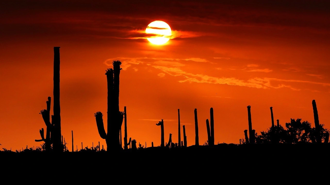 Wildlife spotting at the Tsavo West National Park imgi 146 sunset 5464983 1280
