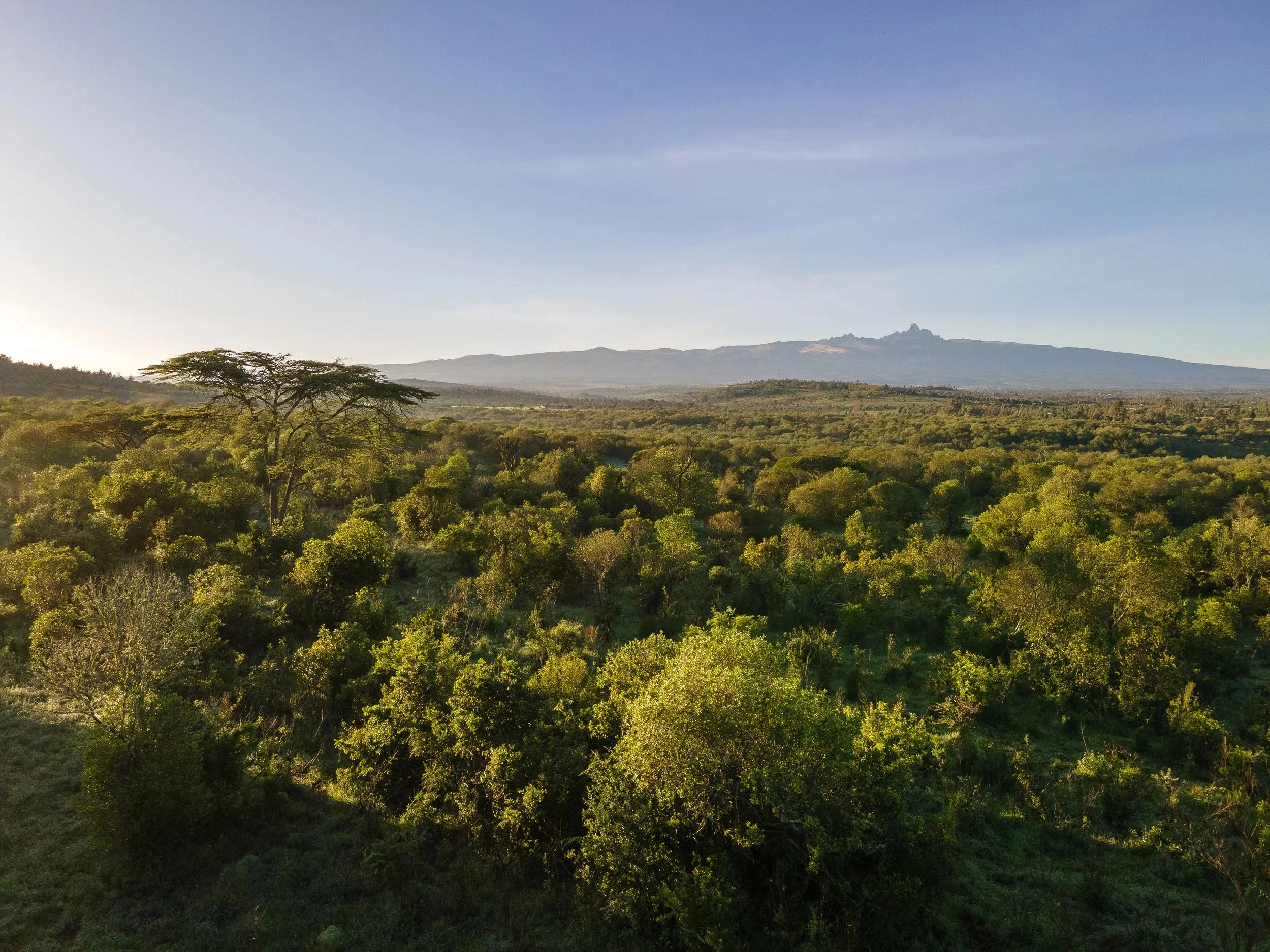 Wildlife spotting at lolldaiga conservancy imgi 128 Lolldaigas aerial stills 1 49