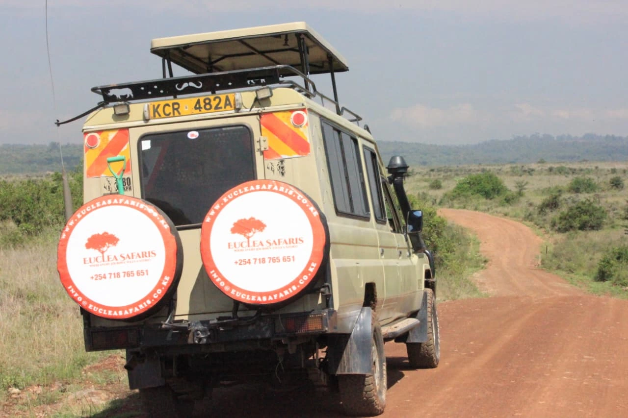Half Day Magical Urban Wildlife Experience in Kenya