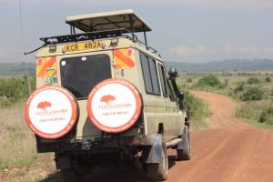 Nairobi National Park Half-Day Game Drive