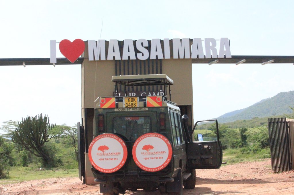 3-Day Masai Mara Safari Tours